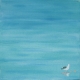 128849429917-Gull.jpg